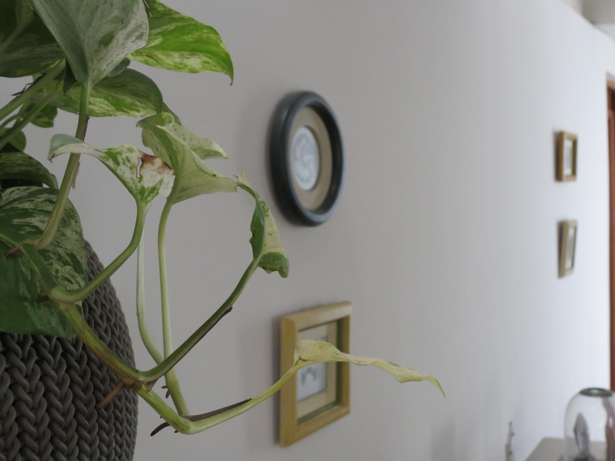 Miraflores Inn ليما المظهر الخارجي الصورة